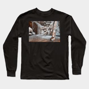 Frozen Avalon Falls Long Sleeve T-Shirt